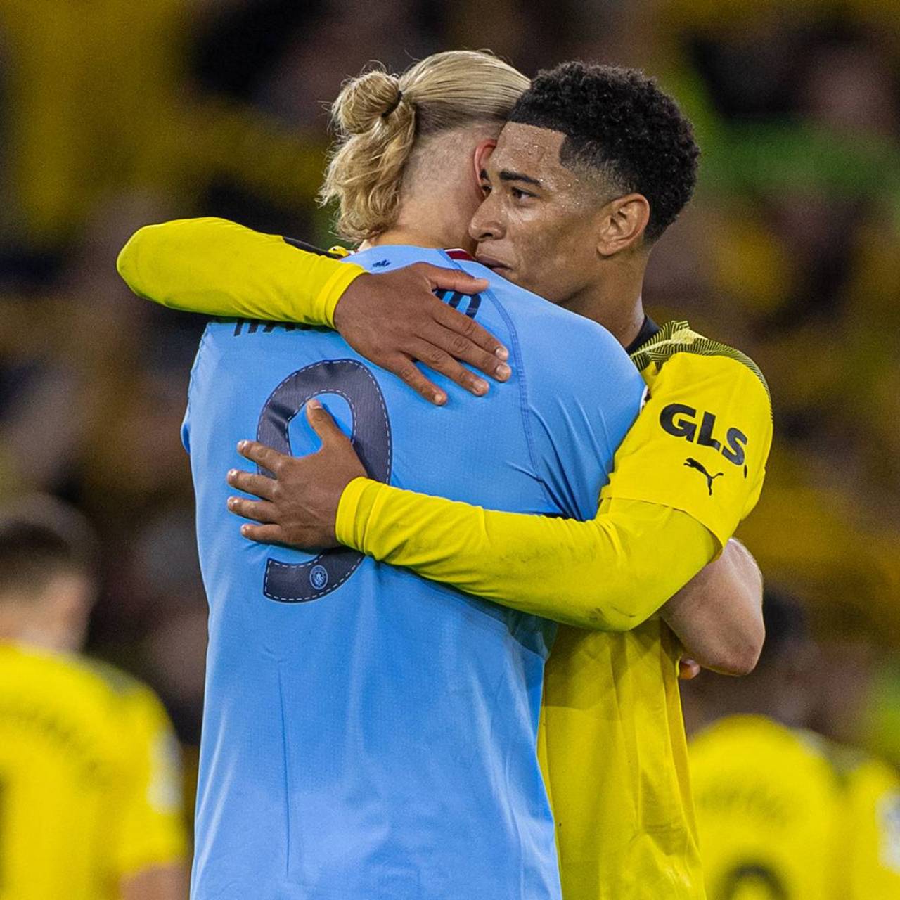 侧的多面手 侧的多面手