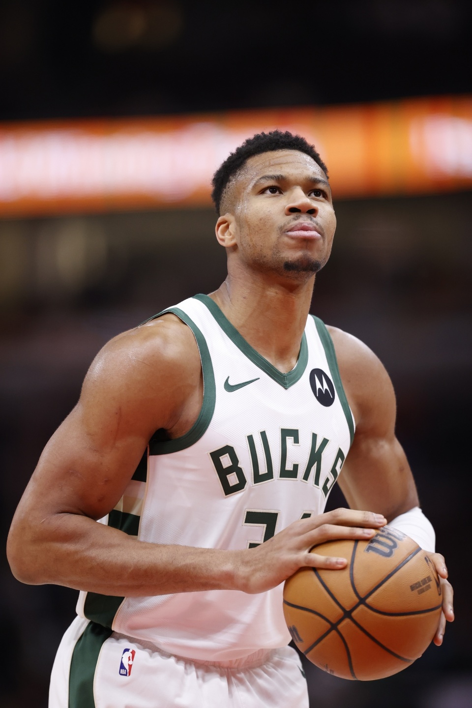 这对组合的 这对组合的